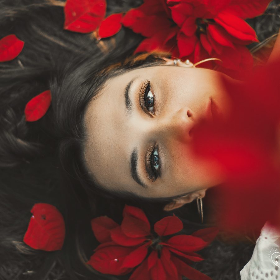 IMG_7958-Editar-2